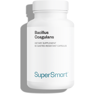 Bacillus Coagulans Probiotic