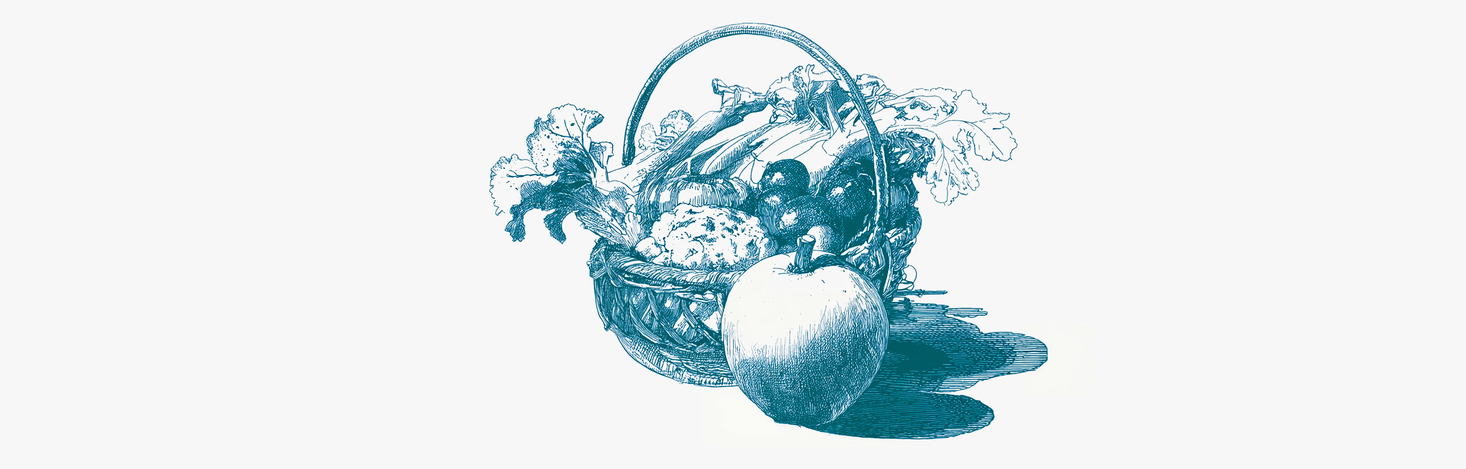 The list of foods richest in fibre