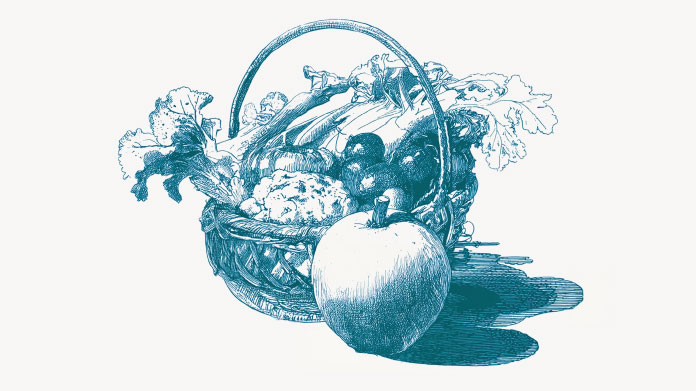 The list of foods richest in fibre