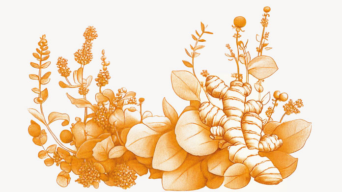 The 5 best natural ‘antibiotics’