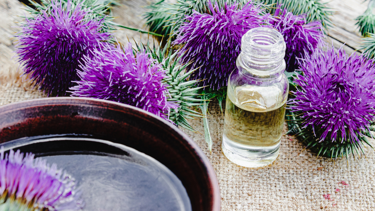 Liver-detoxifying milk thistle