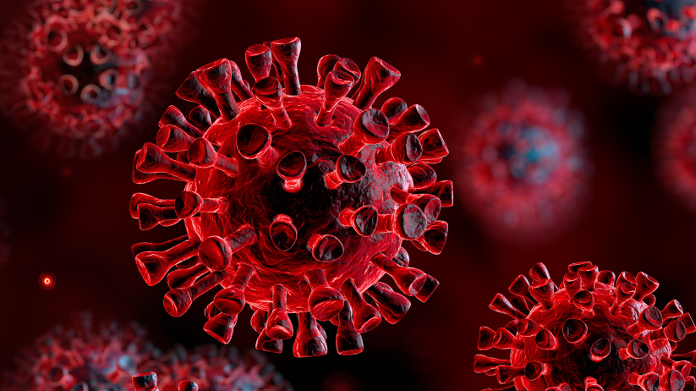 Coronavirus or COVID-19 in the body