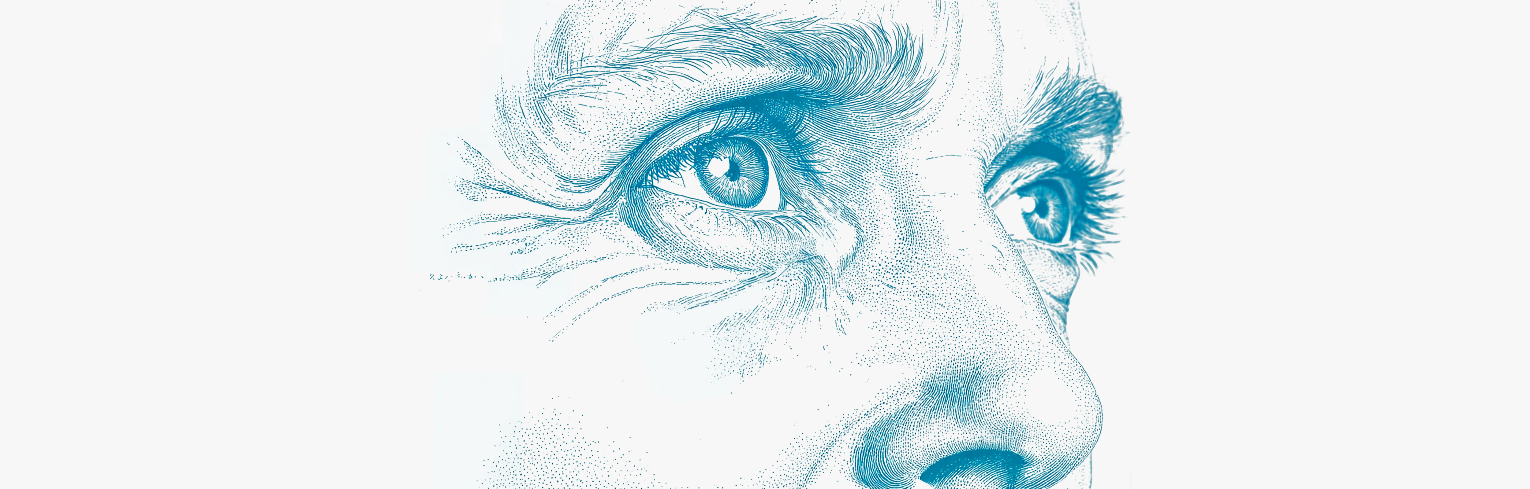 Flavonoids for longevity