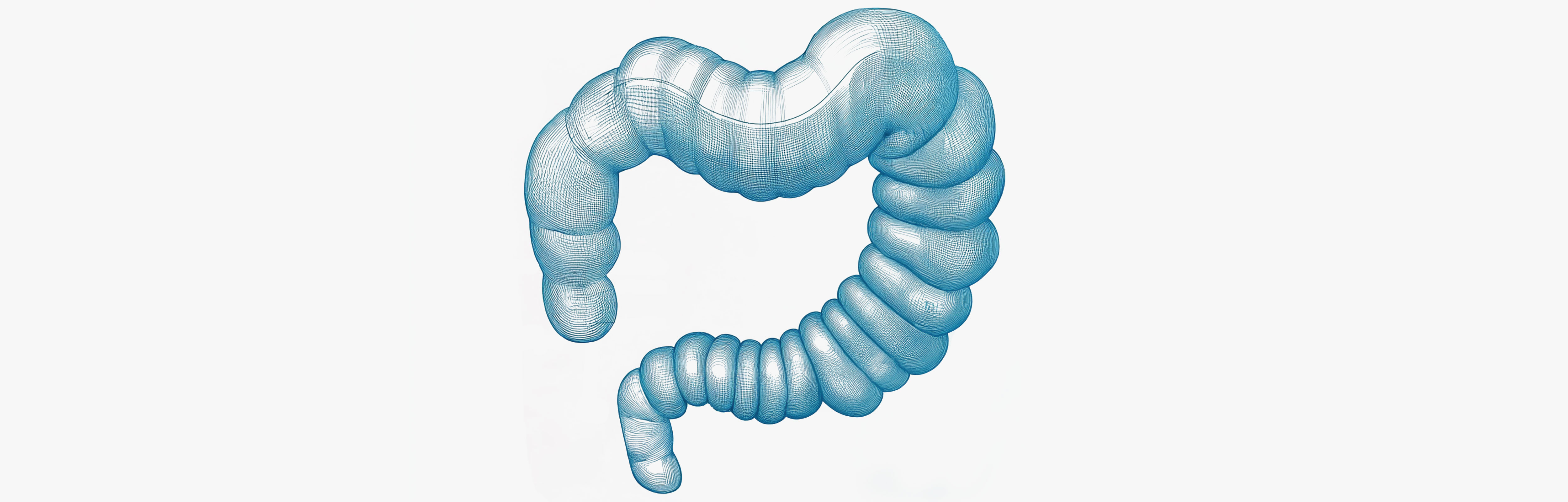 The best natural laxatives