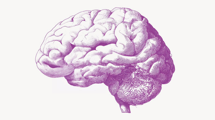 Studies and ingredients for memory