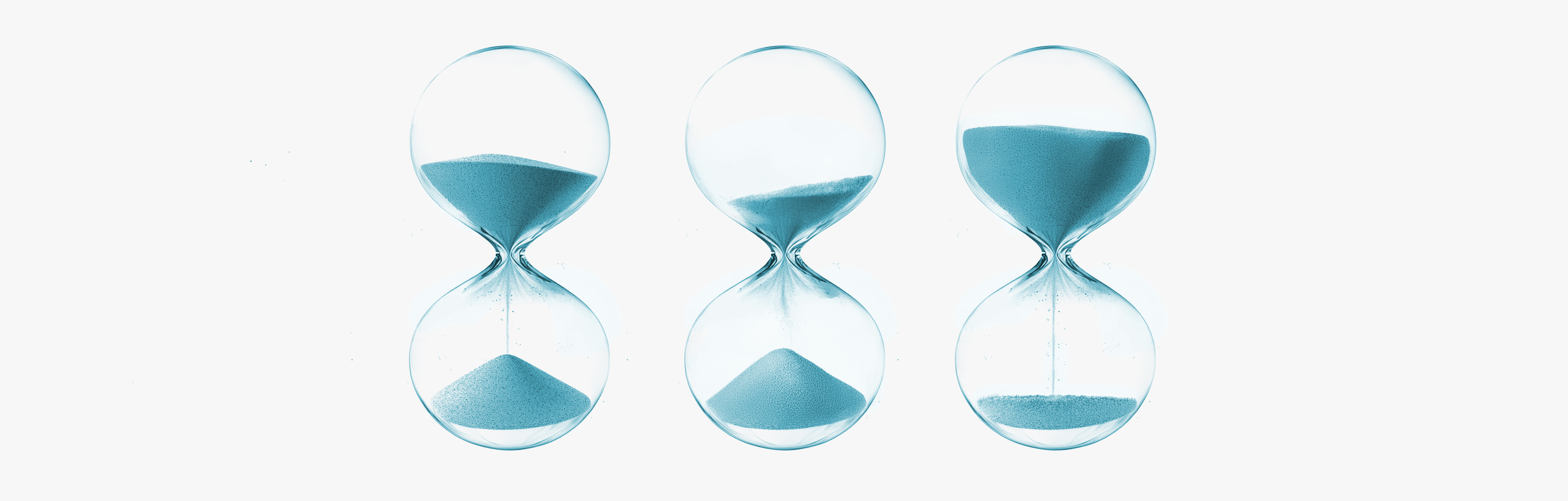 Role of the microbiota in longevity