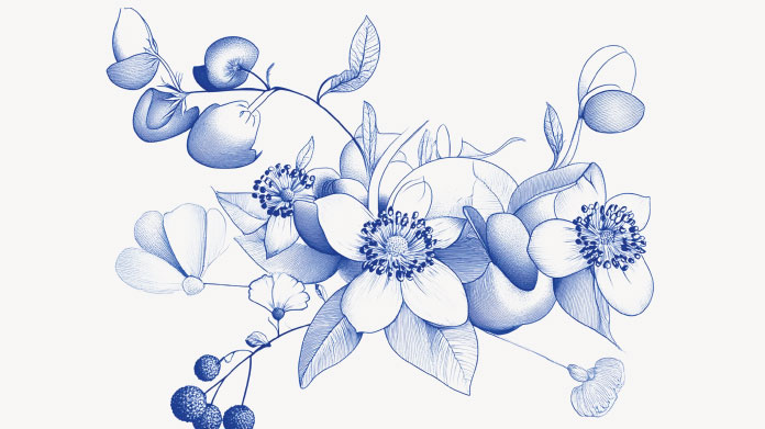 Natural muscle relaxants