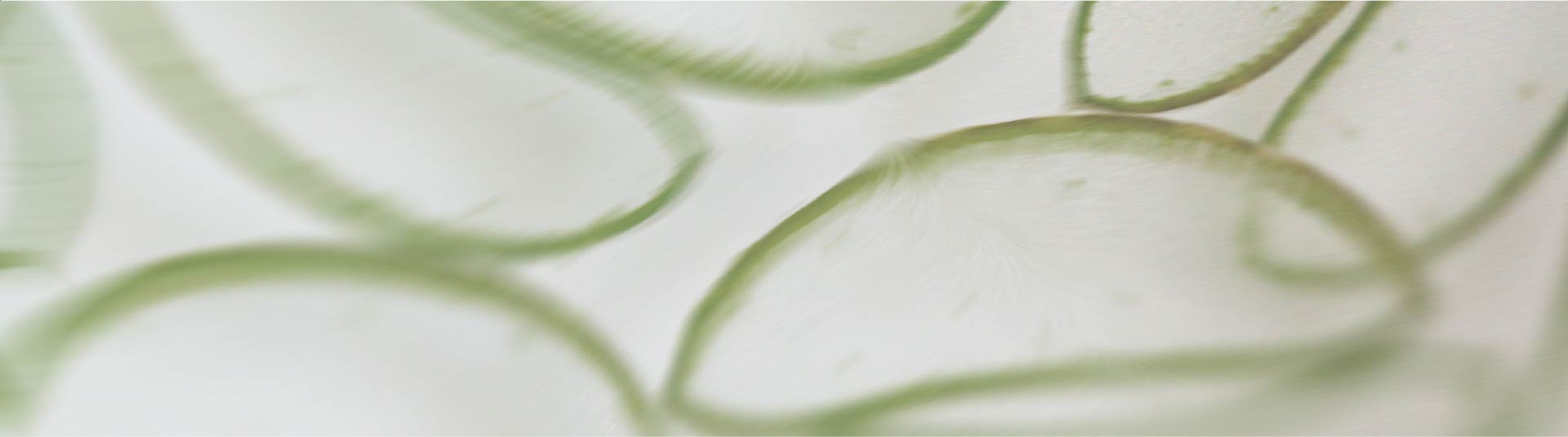 The best natural stomach coating agents