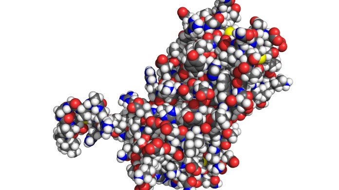 Excess prolactin