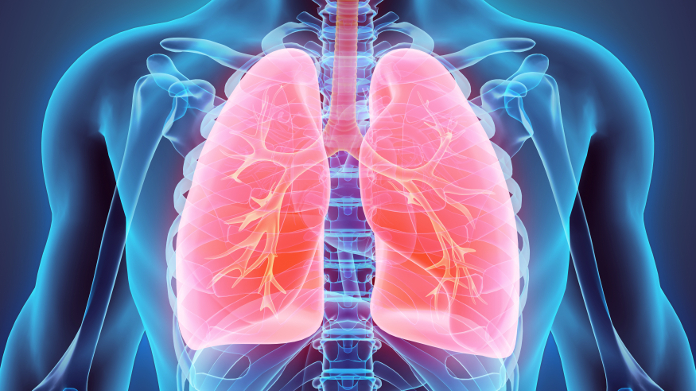 Medical representation of the lungs