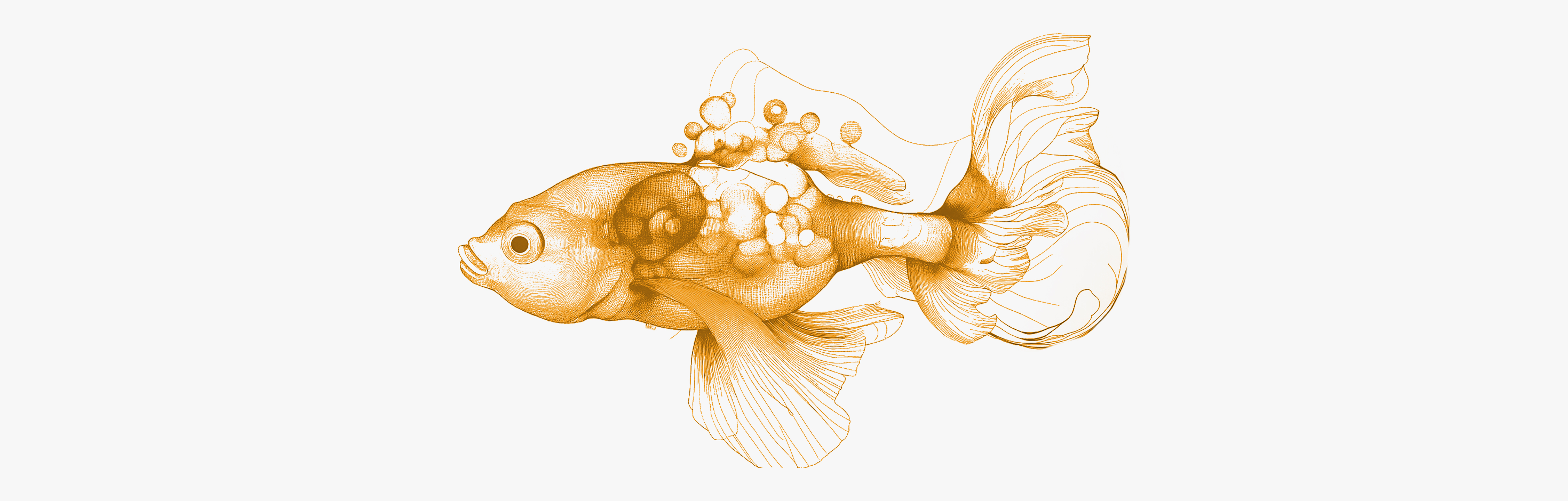 Everything you need to know about vitamin B2