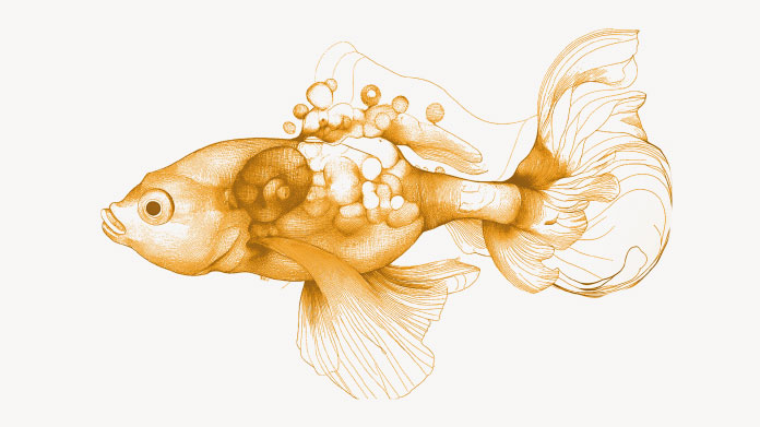 Everything you need to know about vitamin B2